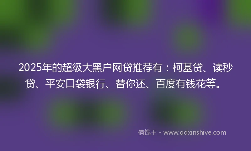 2025年的超级大黑户网贷推荐有：柯基贷、读秒贷、平安口袋银行、替你还、百度有钱花等。