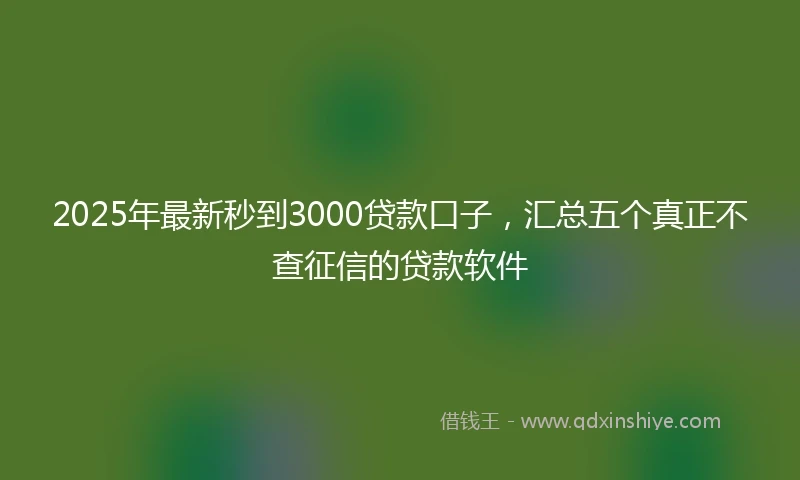 2025年最新秒到3000贷款口子，汇总五个真正不查征信的贷款软件
