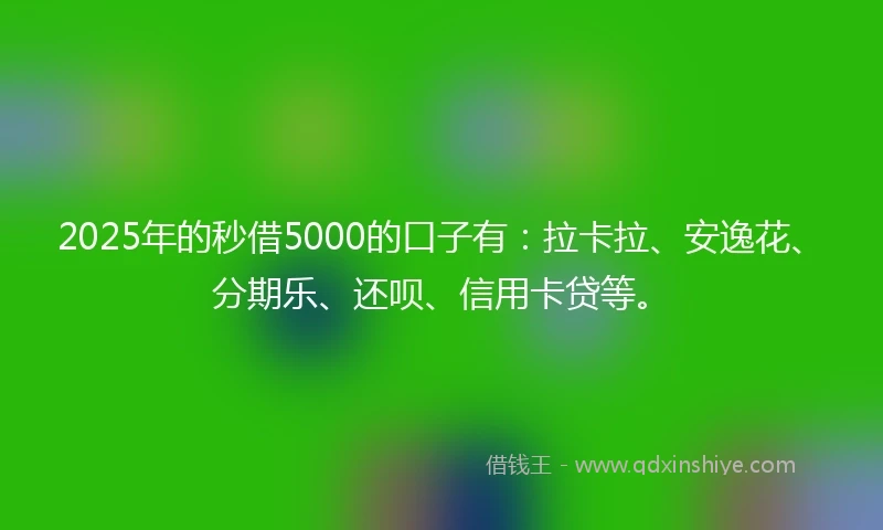 2025年的秒借5000的口子有：拉卡拉、安逸花、分期乐、还呗、信用卡贷等。