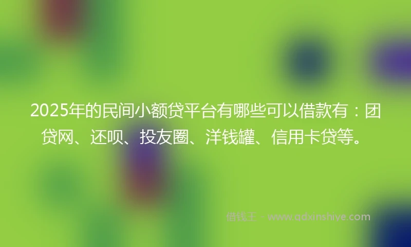 2025年的民间小额贷平台有哪些可以借款有：团贷网、还呗、投友圈、洋钱罐、信用卡贷等。
