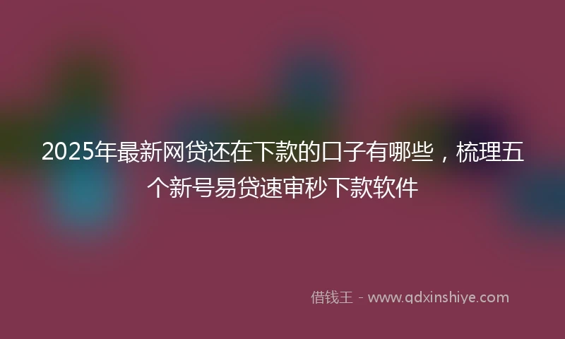 2025年最新网贷还在下款的口子有哪些，梳理五个新号易贷速审秒下款软件