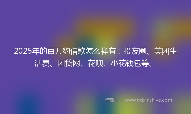 2025年的百万豹借款怎么样有：投友圈、美团生活费、团贷网、花呗、小花钱包等。
