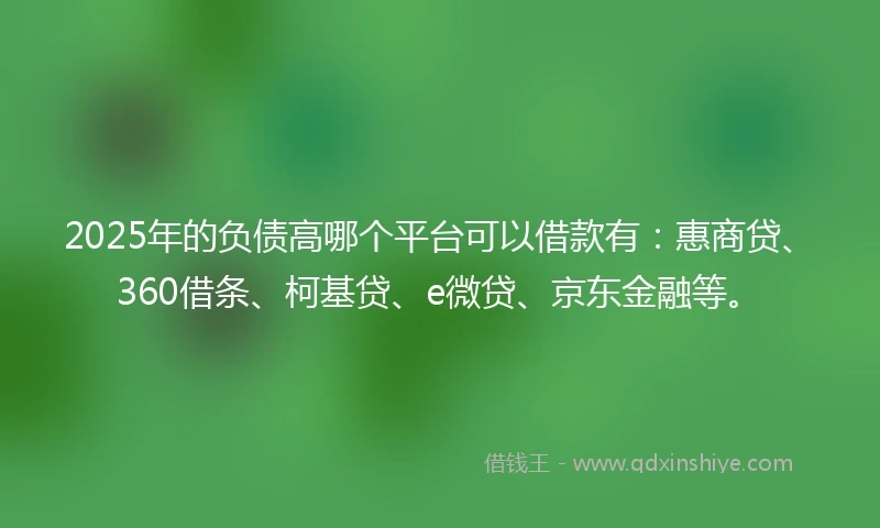 2025年的负债高哪个平台可以借款有：惠商贷、360借条、柯基贷、e微贷、京东金融等。