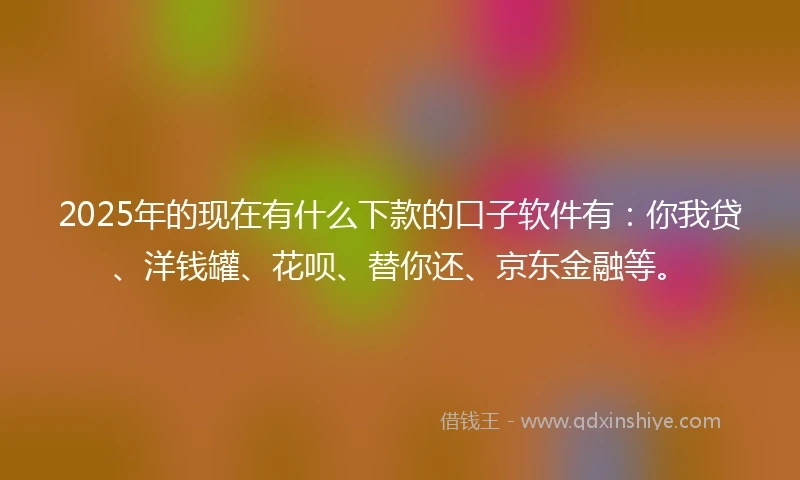 2025年的现在有什么下款的口子软件有：你我贷、洋钱罐、花呗、替你还、京东金融等。