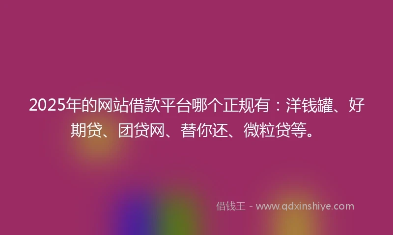 2025年的网站借款平台哪个正规有：洋钱罐、好期贷、团贷网、替你还、微粒贷等。