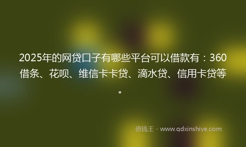2025年的网贷口子有哪些平台可以借款有：360借条、花呗、维信卡卡贷、滴水贷、信用卡贷等。