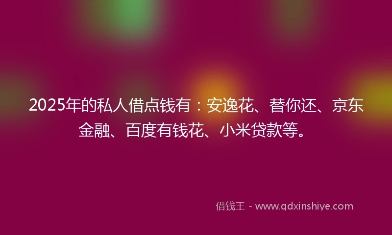 2025年的私人借点钱有：安逸花、替你还、京东金融、百度有钱花、小米贷款等。