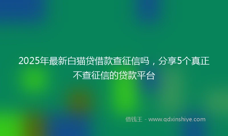 2025年最新白猫贷借款查征信吗，分享5个真正不查征信的贷款平台