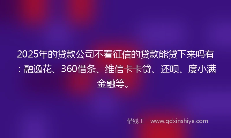2025年的贷款公司不看征信的贷款能贷下来吗有：融逸花、360借条、维信卡卡贷、还呗、度小满金融等。