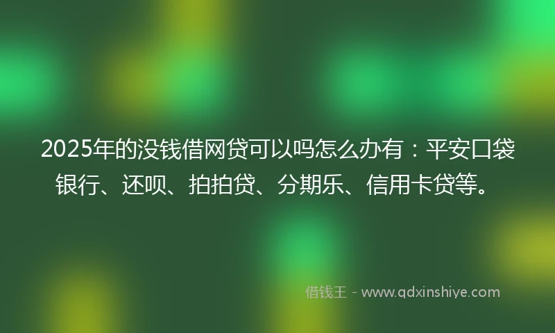2025年的没钱借网贷可以吗怎么办有:平安口袋银行、还呗、拍拍贷、分期乐、信用卡贷等。