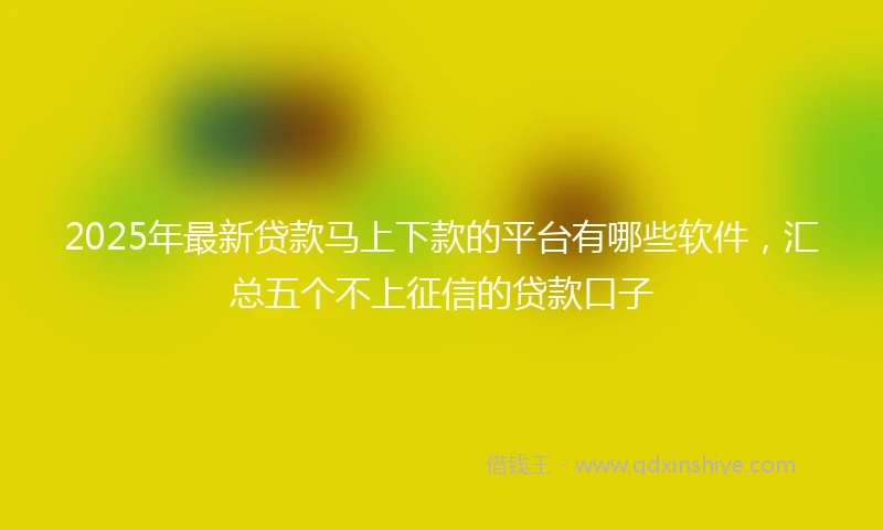 2025年最新贷款马上下款的平台有哪些软件,汇总五个不上征信的贷款口子