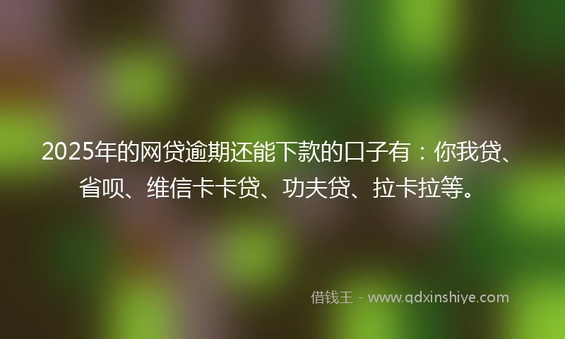 2025年的网贷逾期还能下款的口子有：你我贷、省呗、维信卡卡贷、功夫贷、拉卡拉等。