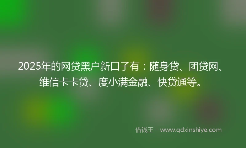 2025年的网贷黑户新口子有：随身贷、团贷网、维信卡卡贷、度小满金融、快贷通等。