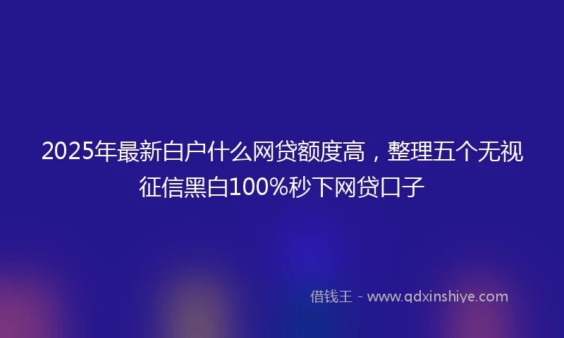 2025年最新白户什么网贷额度高，整理五个无视征信黑白100%秒下网贷口子