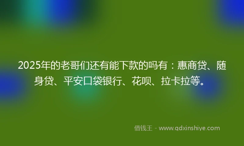 2025年的老哥们还有能下款的吗有：惠商贷、随身贷、平安口袋银行、花呗、拉卡拉等。