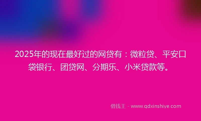 2025年的现在最好过的网贷有：微粒贷、平安口袋银行、团贷网、分期乐、小米贷款等。