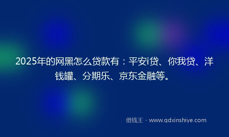 2025年的网黑怎么贷款有：平安i贷、你我贷、洋钱罐、分期乐、京东金融等。