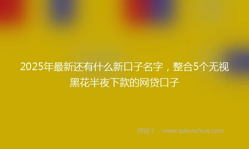 2025年最新还有什么新口子名字,整合5个无视黑花半夜下款的网贷口子