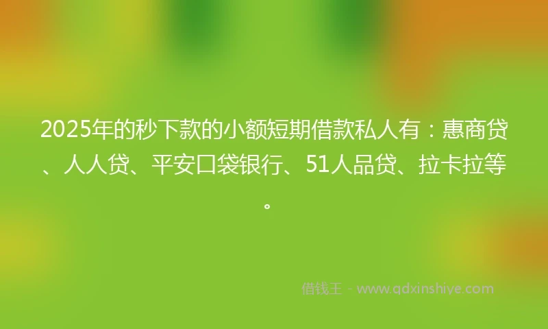 2025年的秒下款的小额短期借款私人有：惠商贷、人人贷、平安口袋银行、51人品贷、拉卡拉等。