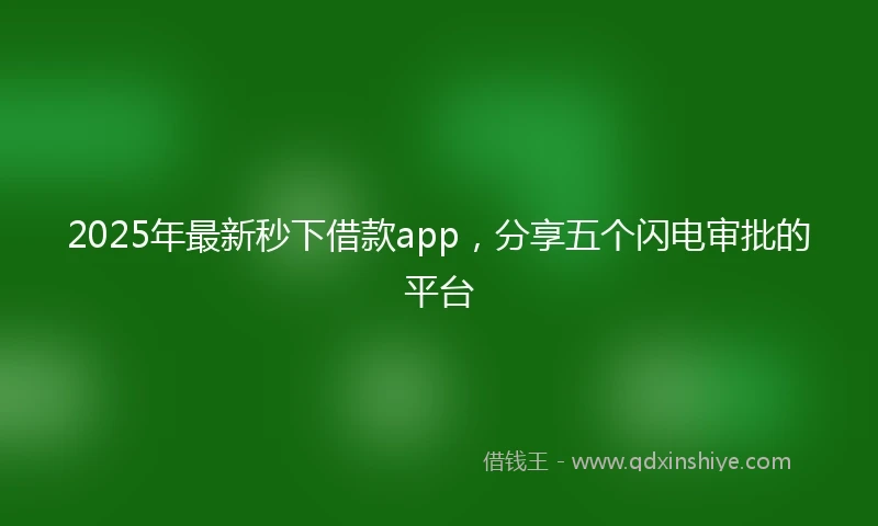 2025年最新秒下借款app，分享五个闪电审批的平台