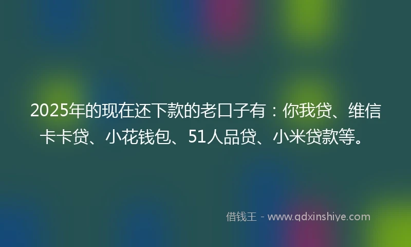 2025年的现在还下款的老口子有：你我贷、维信卡卡贷、小花钱包、51人品贷、小米贷款等。