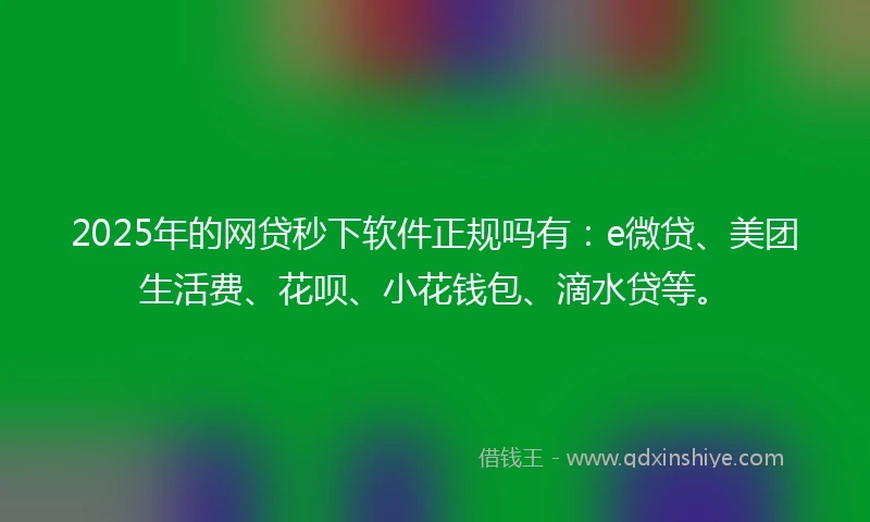 2025年的网贷秒下软件正规吗有：e微贷、美团生活费、花呗、小花钱包、滴水贷等。