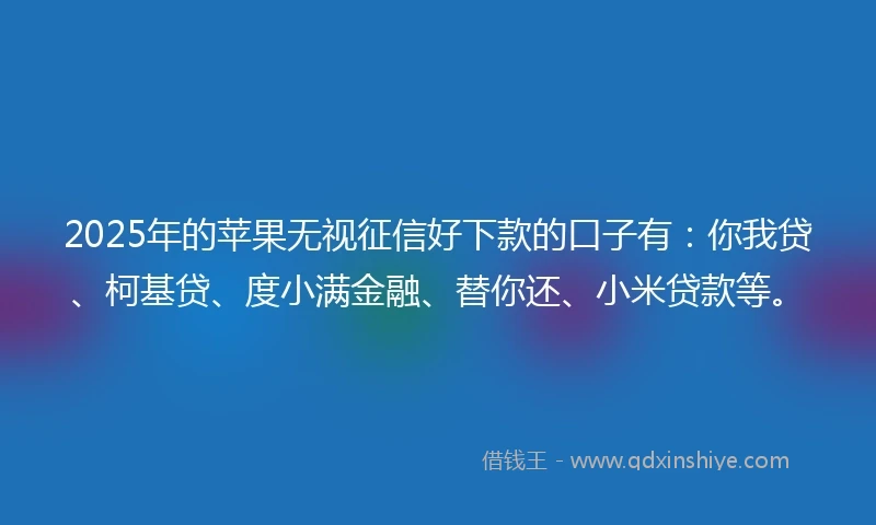 2025年的苹果无视征信好下款的口子有:你我贷、柯基贷、度小满金融、替你还、小米贷款等。