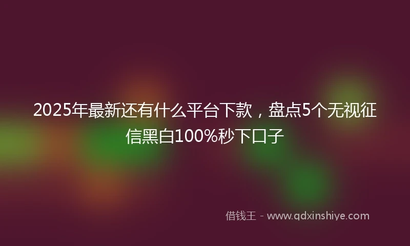 2025年最新还有什么平台下款，盘点5个无视征信黑白100%秒下口子