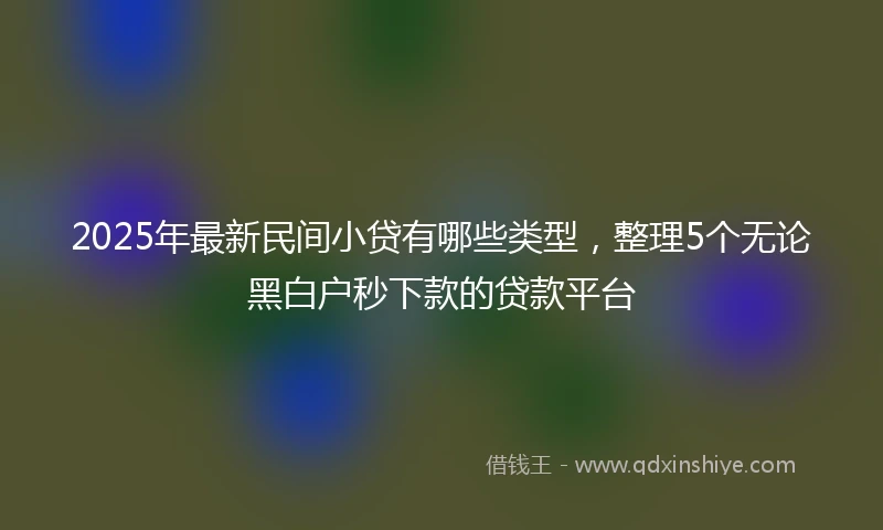 2025年最新民间小贷有哪些类型，整理5个无论黑白户秒下款的贷款平台