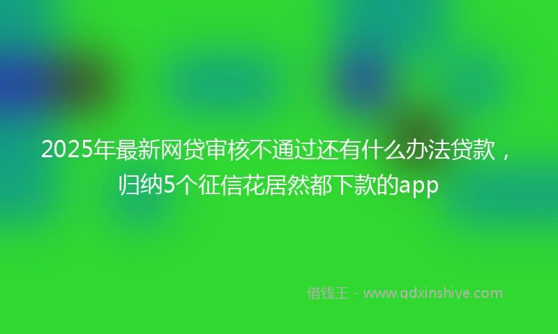 2025年最新网贷审核不通过还有什么办法贷款,归纳5个征信花居然都下款的app