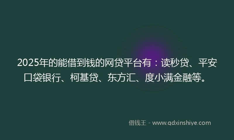2025年的能借到钱的网贷平台有：读秒贷、平安口袋银行、柯基贷、东方汇、度小满金融等。