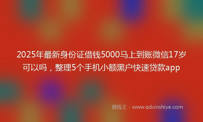 2025年最新身份证借钱5000马上到账微信17岁可以吗，整理5个手机小额黑户快速贷款app
