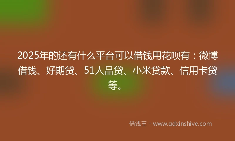 2025年的还有什么平台可以借钱用花呗有：微博借钱、好期贷、51人品贷、小米贷款、信用卡贷等。