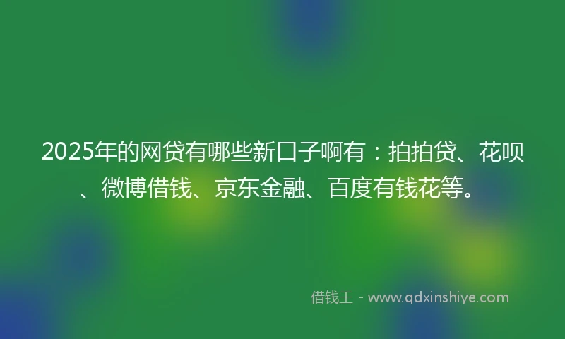 2025年的网贷有哪些新口子啊有：拍拍贷、花呗、微博借钱、京东金融、百度有钱花等。