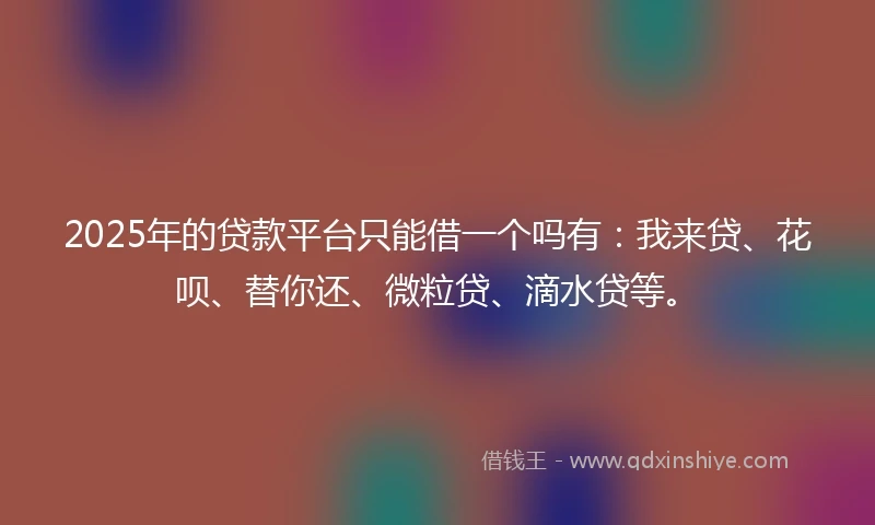 2025年的贷款平台只能借一个吗有：我来贷、花呗、替你还、微粒贷、滴水贷等。