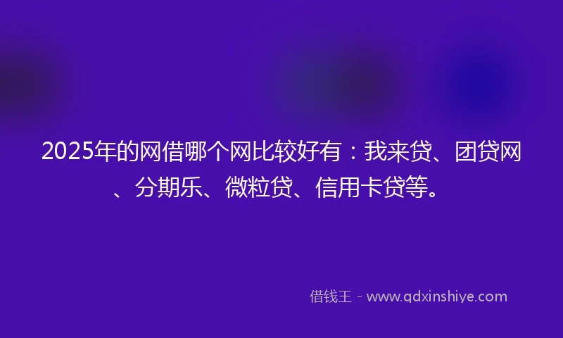 2025年的网借哪个网比较好有：我来贷、团贷网、分期乐、微粒贷、信用卡贷等。