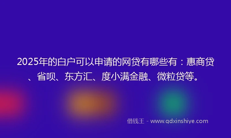 2025年的白户可以申请的网贷有哪些有：惠商贷、省呗、东方汇、度小满金融、微粒贷等。