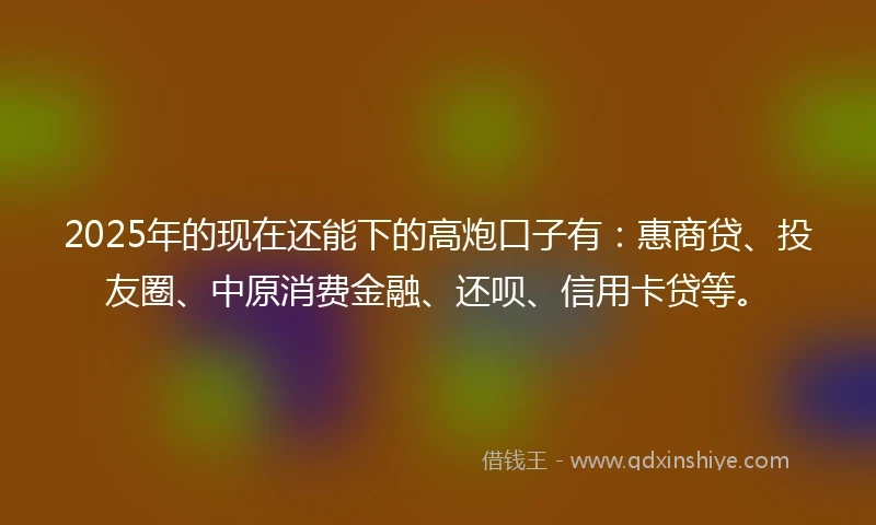 2025年的现在还能下的高炮口子有：惠商贷、投友圈、中原消费金融、还呗、信用卡贷等。