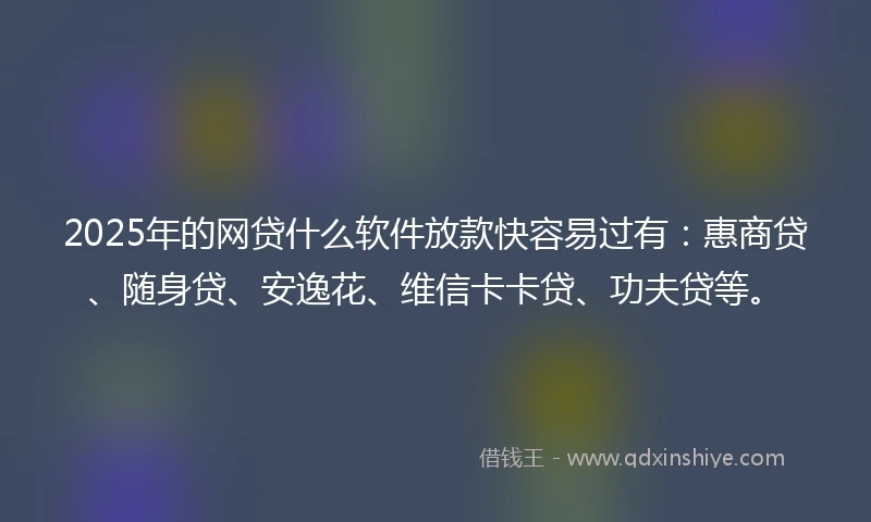 2025年的网贷什么软件放款快容易过有：惠商贷、随身贷、安逸花、维信卡卡贷、功夫贷等。