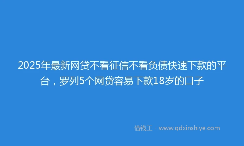 2025年最新网贷不看征信不看负债快速下款的平台，罗列5个网贷容易下款18岁的口子