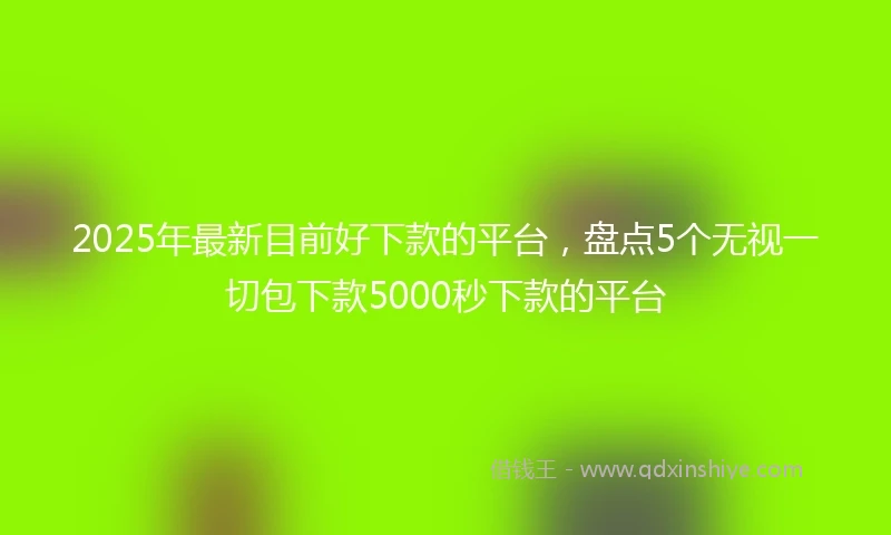 2025年最新目前好下款的平台，盘点5个无视一切包下款5000秒下款的平台