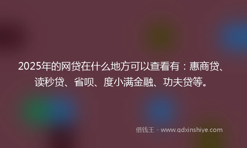2025年的网贷在什么地方可以查看有：惠商贷、读秒贷、省呗、度小满金融、功夫贷等。