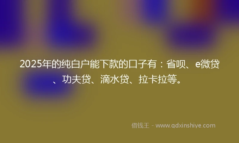 2025年的纯白户能下款的口子有：省呗、e微贷、功夫贷、滴水贷、拉卡拉等。
