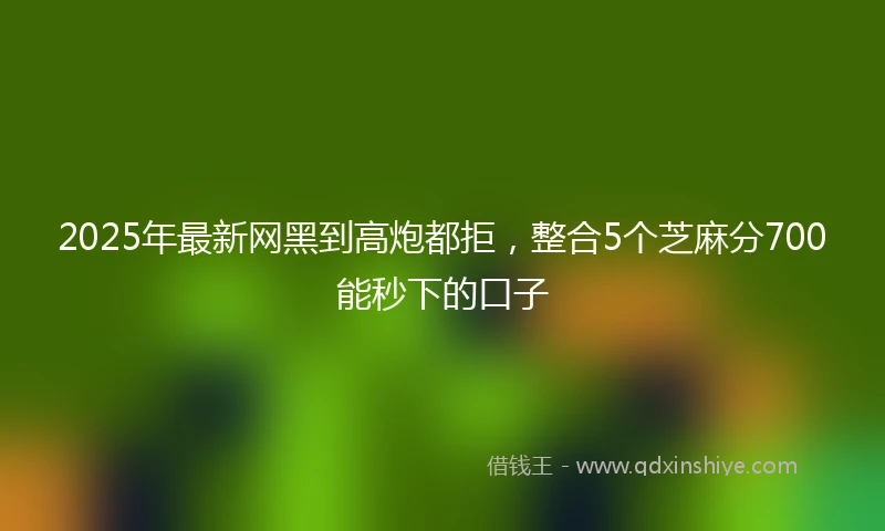 2025年最新网黑到高炮都拒，整合5个芝麻分700能秒下的口子