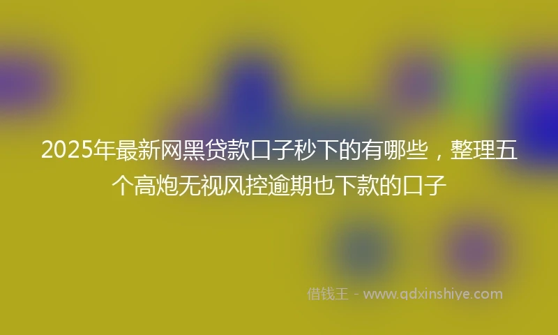 2025年最新网黑贷款口子秒下的有哪些，整理五个高炮无视风控逾期也下款的口子