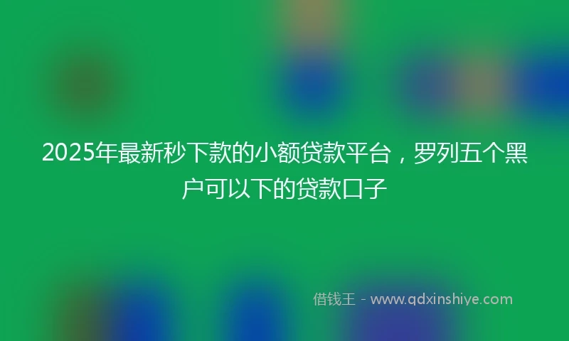 2025年最新秒下款的小额贷款平台，罗列五个黑户可以下的贷款口子