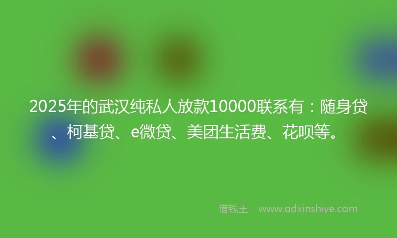 2025年的武汉纯私人放款10000联系有：随身贷、柯基贷、e微贷、美团生活费、花呗等。