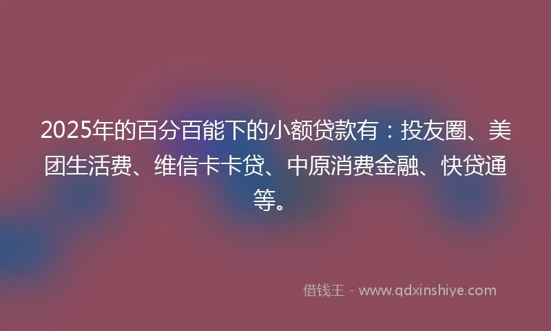 2025年的百分百能下的小额贷款有：投友圈、美团生活费、维信卡卡贷、中原消费金融、快贷通等。