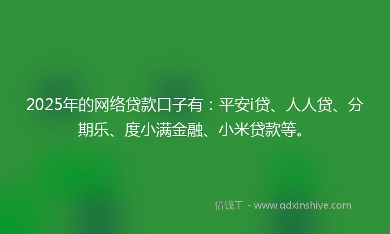 2025年的网络贷款口子有：平安i贷、人人贷、分期乐、度小满金融、小米贷款等。