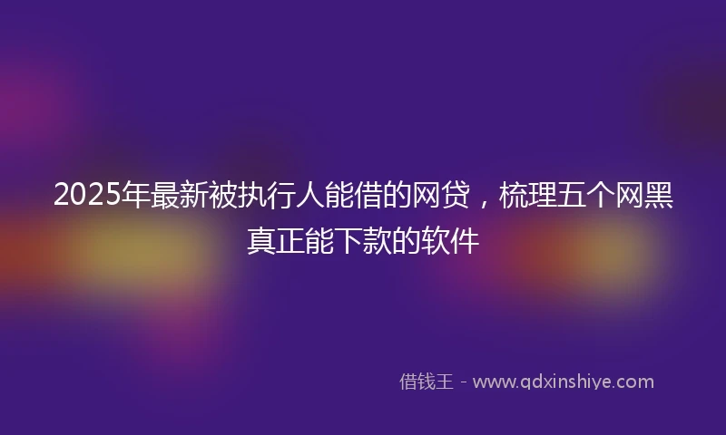 2025年最新被执行人能借的网贷,梳理五个网黑真正能下款的软件